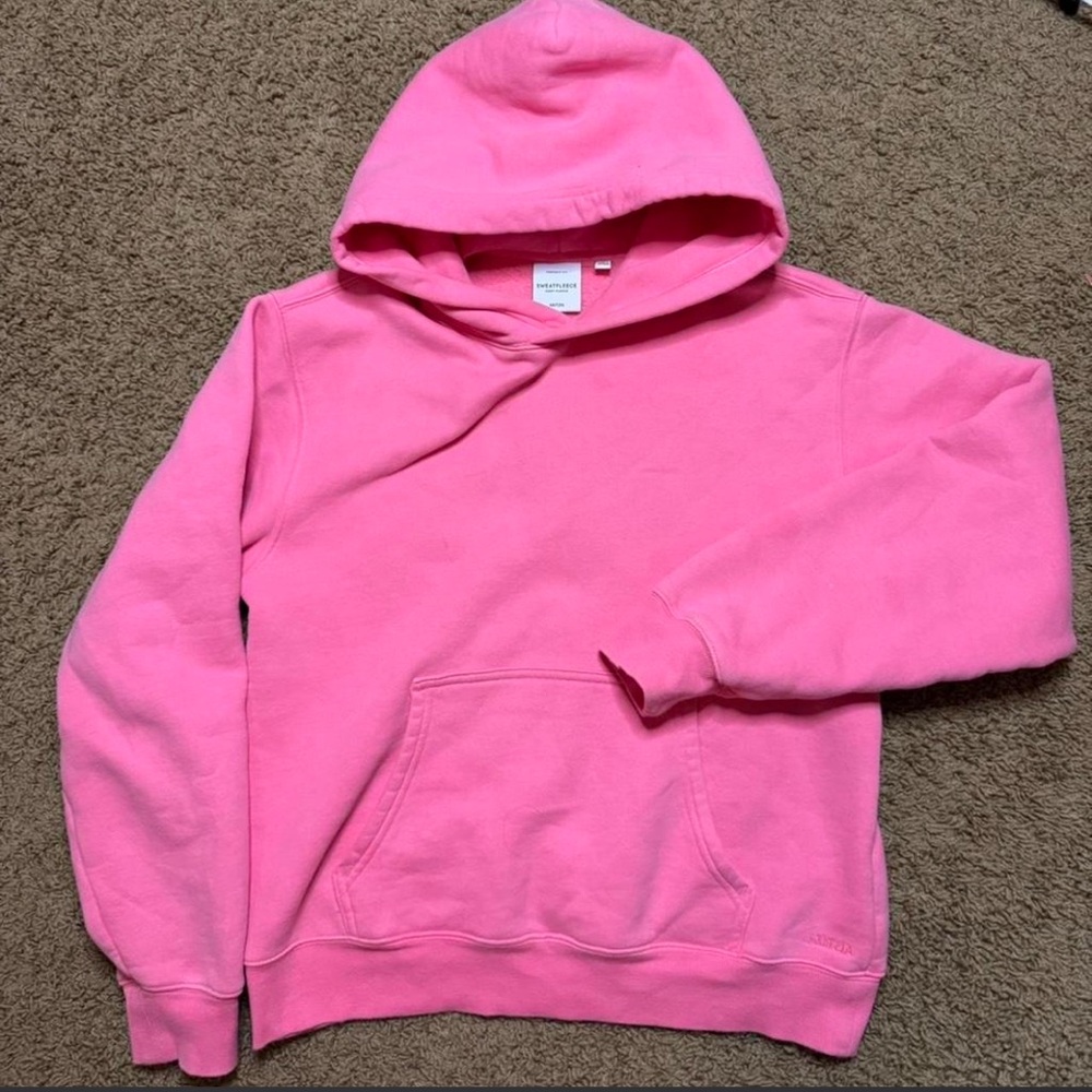 Aritzia Pink Hoodie